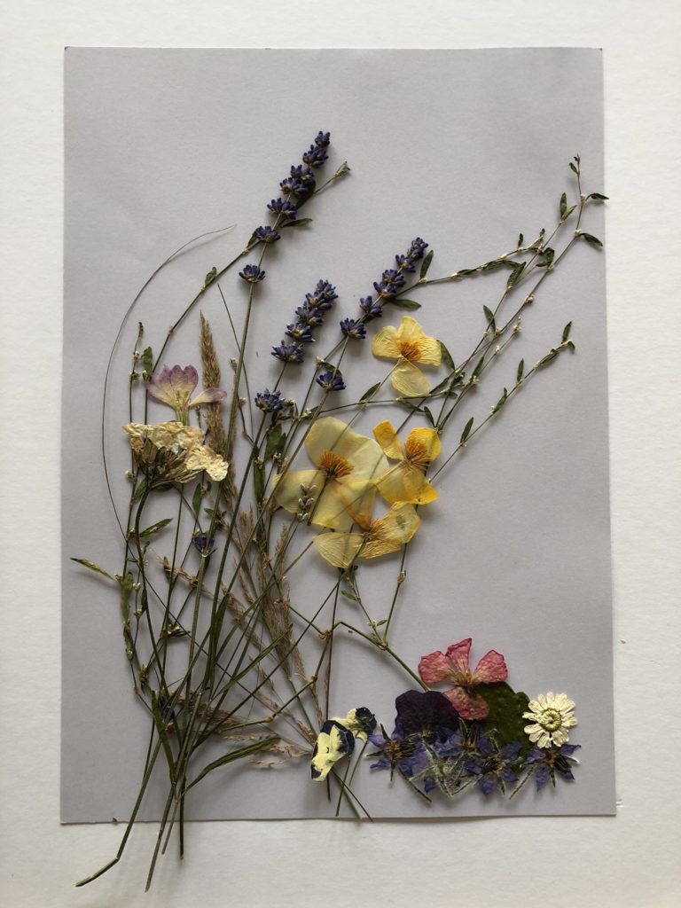 flowers on paper to create dried flower picture