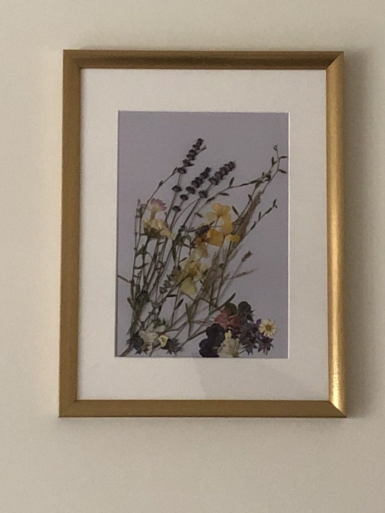 framed dried flower picture