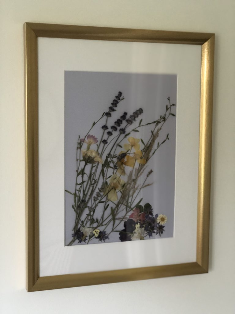 framed dried flower picture