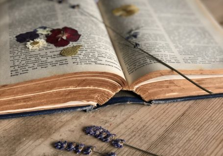 vintage book with dried flowers on pine table