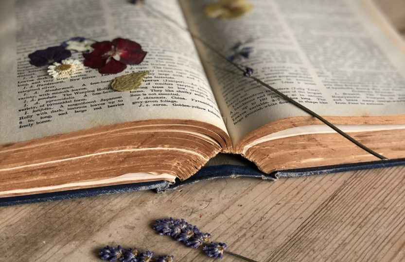 vintage book with dried flowers on pine table