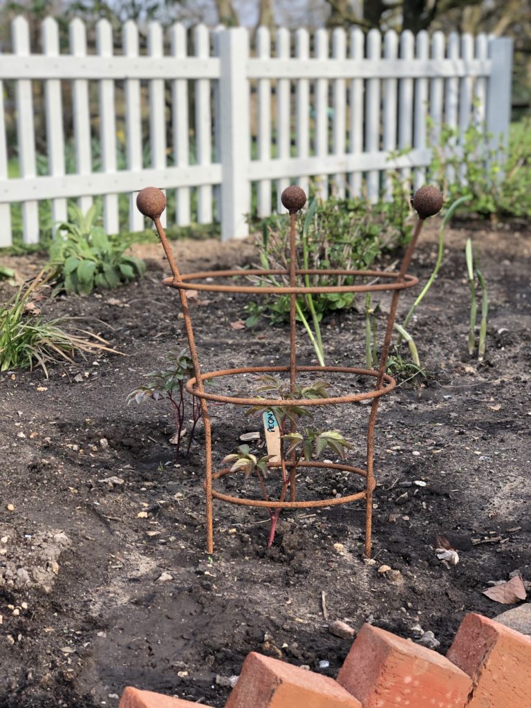 Rusty support in the Cottage Garden