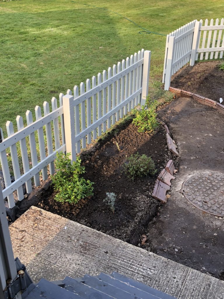 Creating a Cottage Garden  with a picket fence