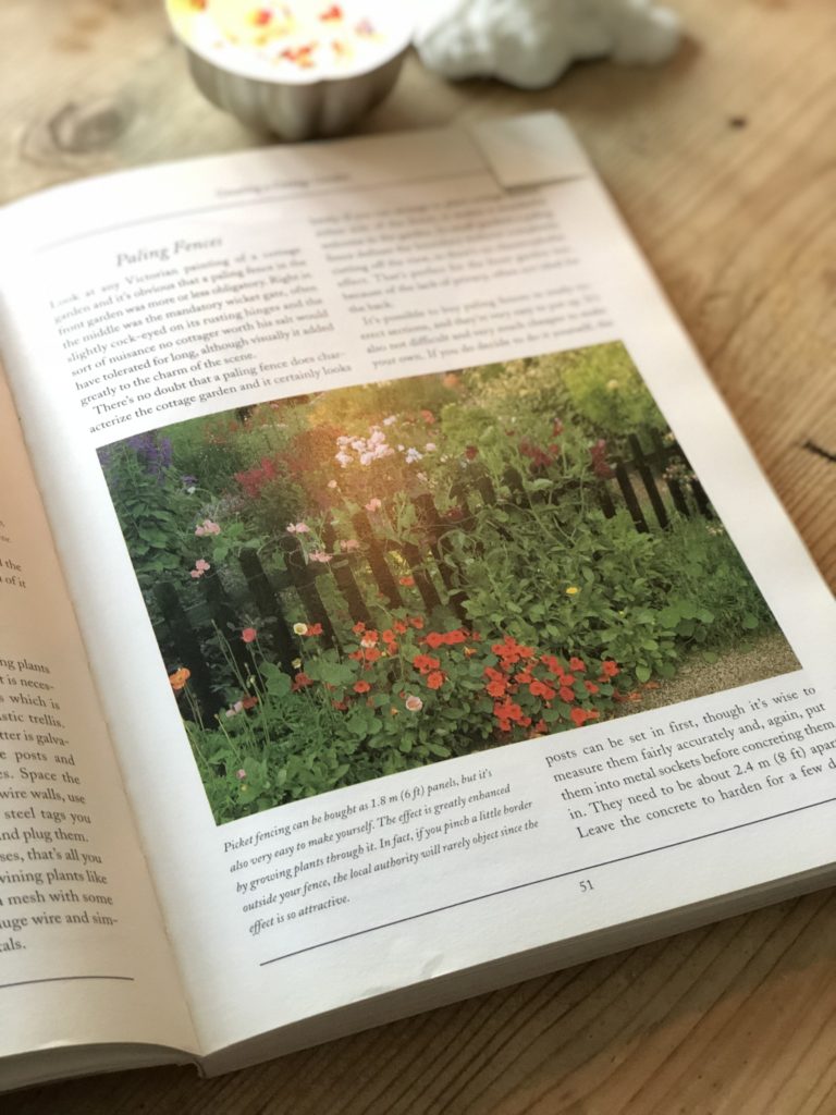 The Cottage Garden picket fence in book 1 768x1024 - Beautiful Belle and The Cottage Garden - Part One