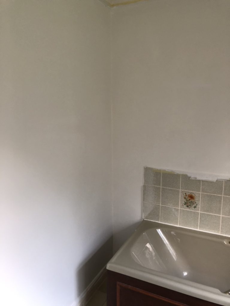 painting a toilet wall in bathroom refresh