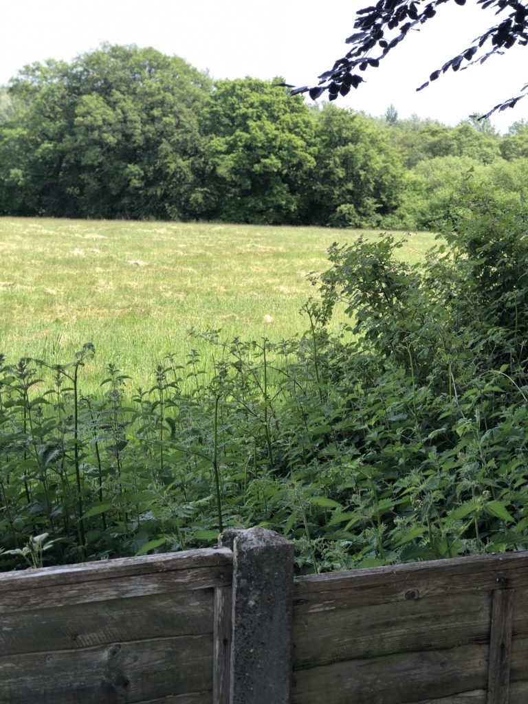 pretty view of green fields over vintage garden fence