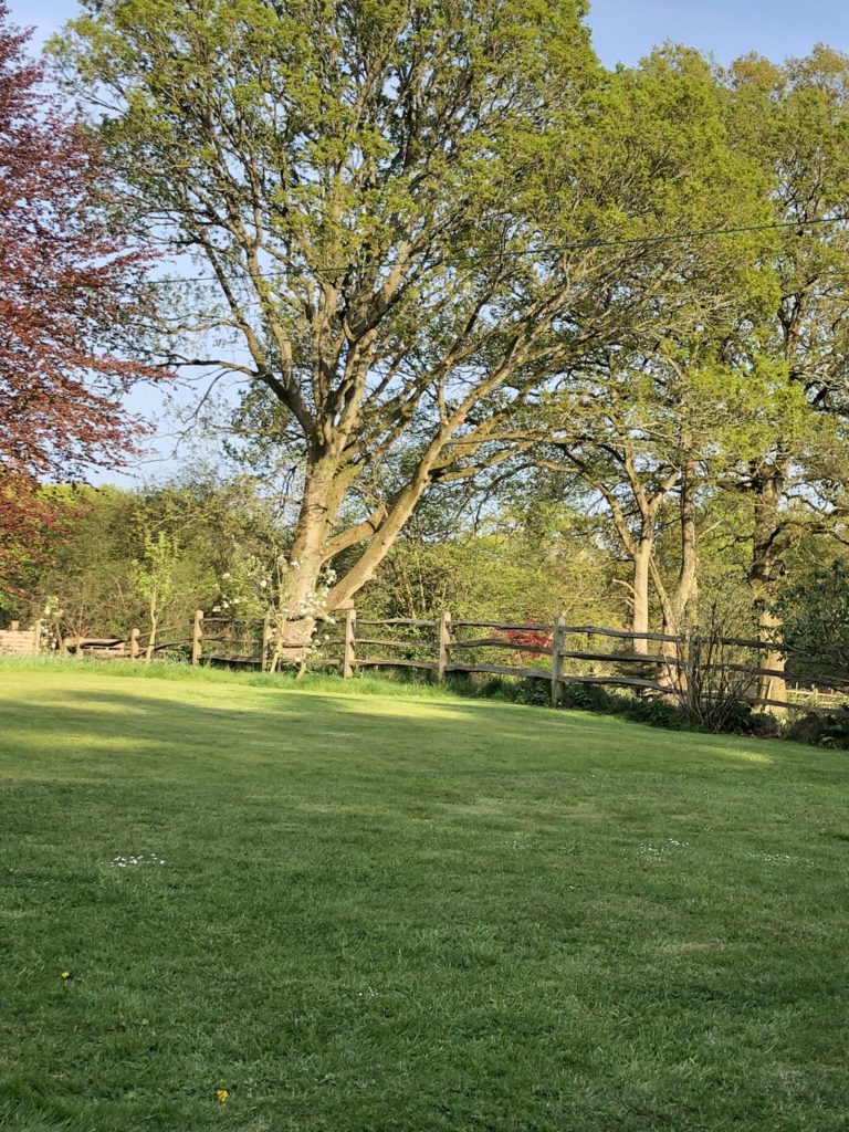 countryside garden with post and rail fence