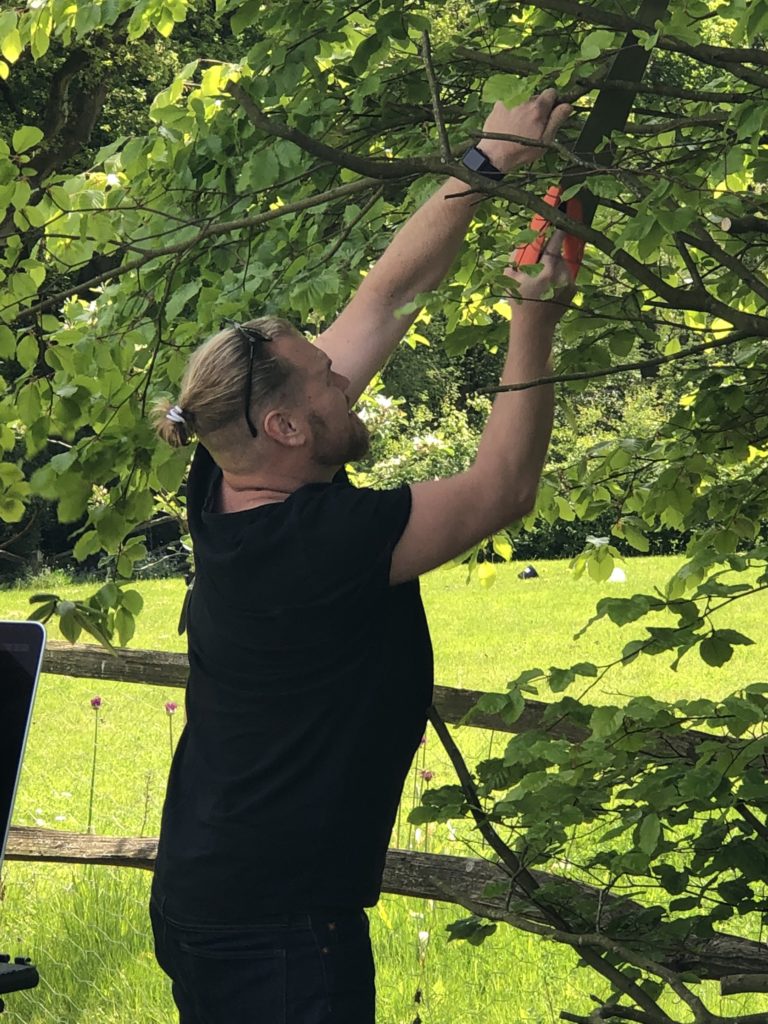 man cutting tree in leafy garden