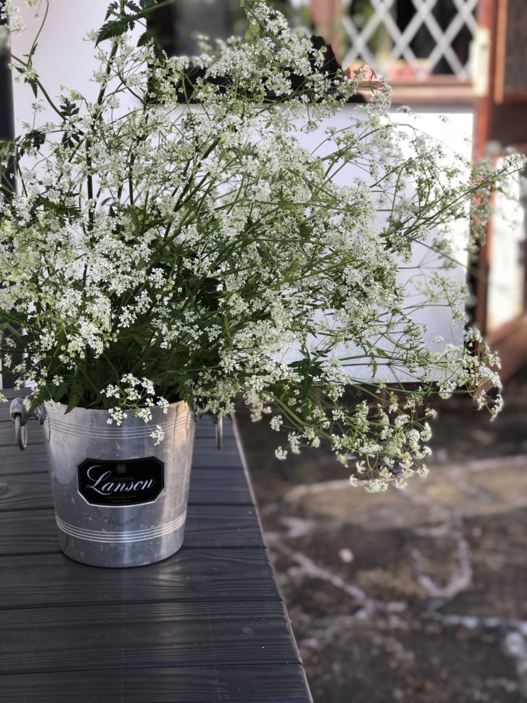 cow parsley in champagne ice buket