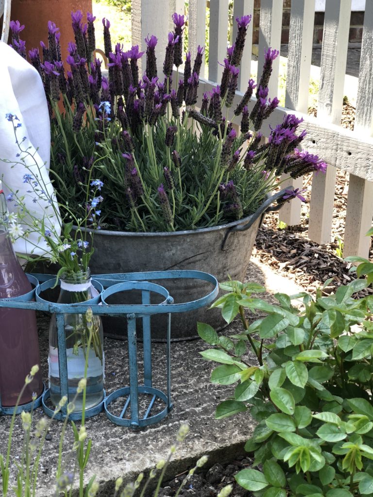 garden props use in Period Living Magazine photo shoot