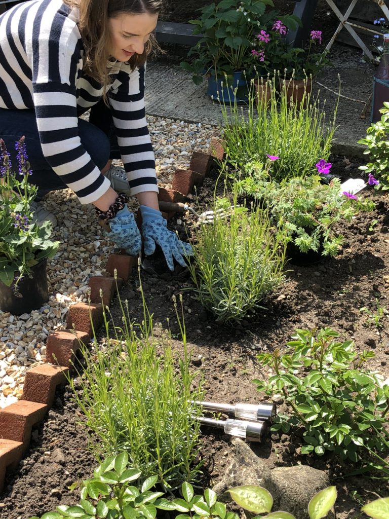 Period Living Magazine stylist plants plant