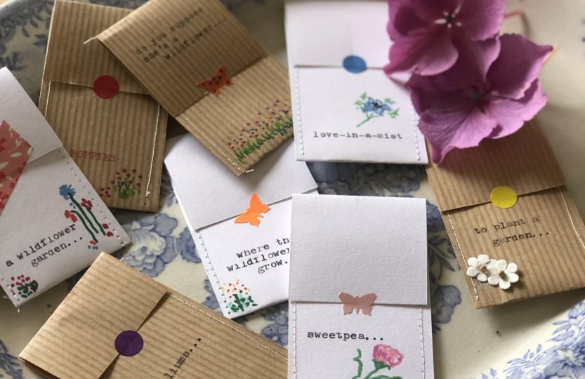 assorted diy seed envelopes