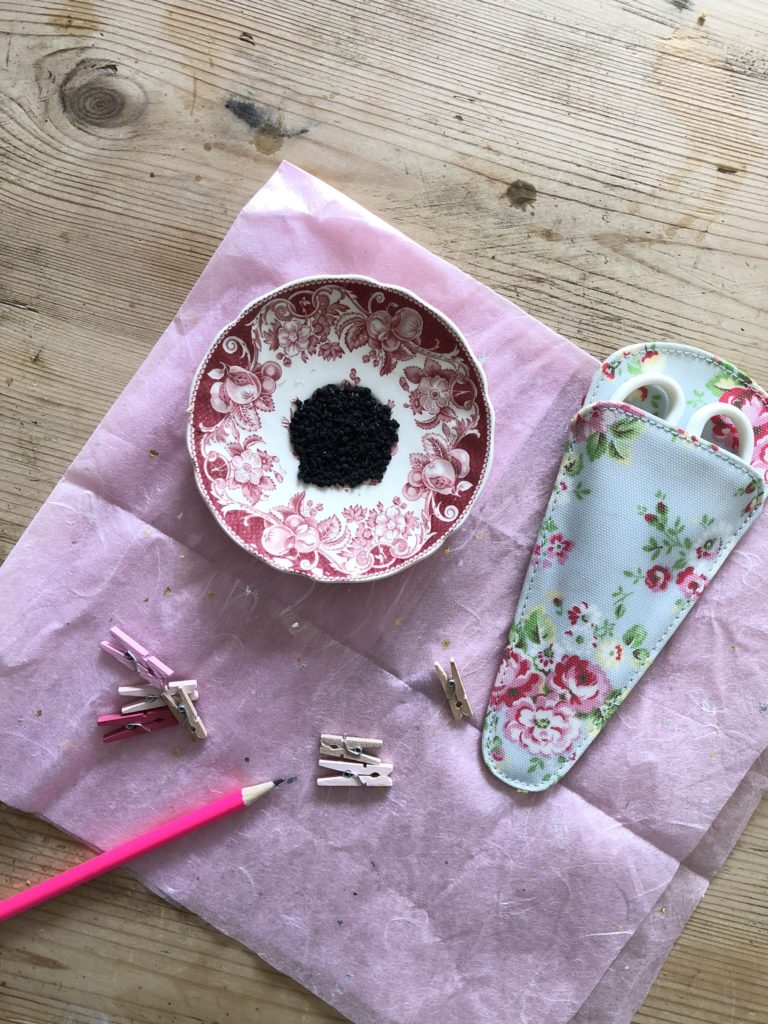 poppy seeds on pink plate with scissor case and tiny craft pegs