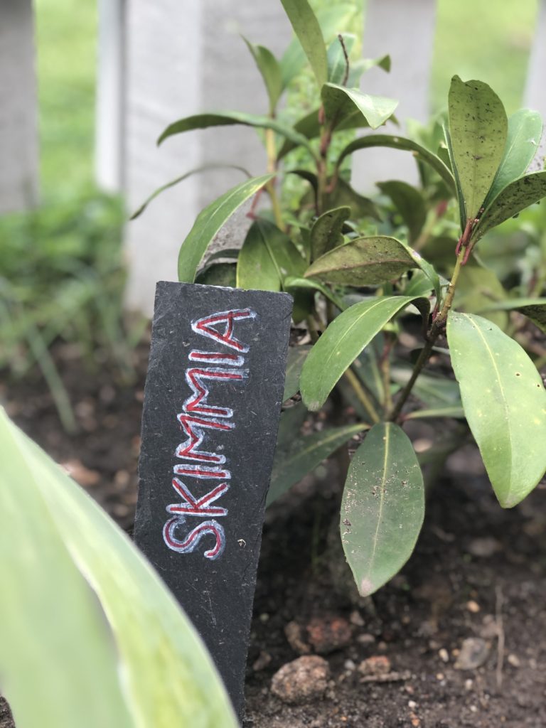 slate garden markers