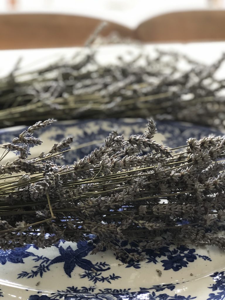 freshly harvested dried lavender on blue plate