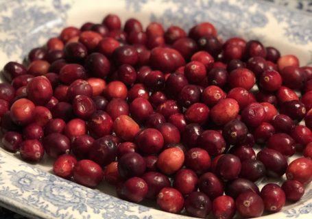 fresh cranberries in blue china dish for homemade rustic decorations