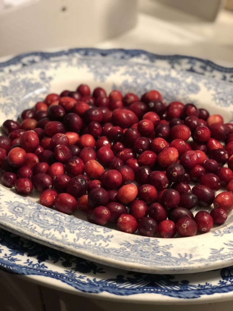 fresh cranberries in blue china dish for homemade rustic decorations