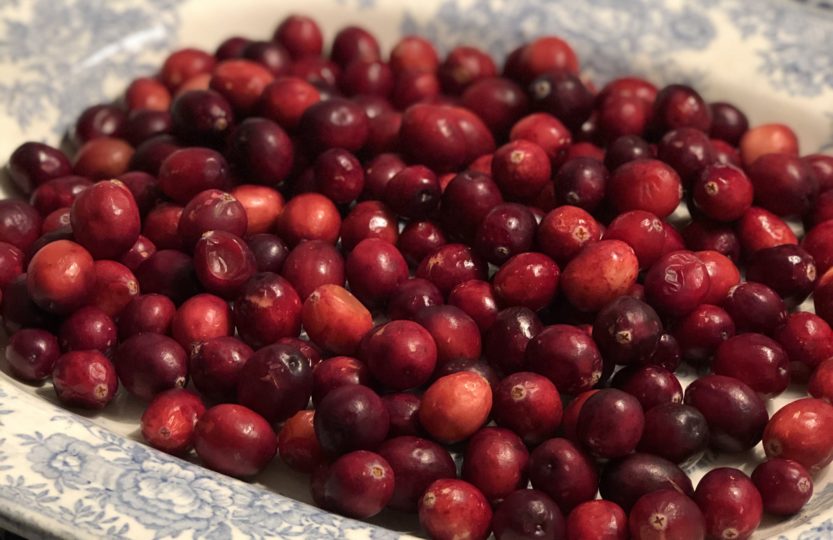 fresh cranberries in blue china dish for homemade rustic decorations