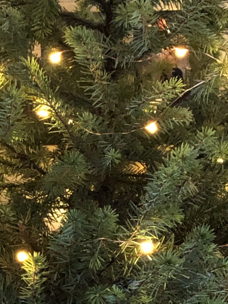 christmas tree and fairy lights