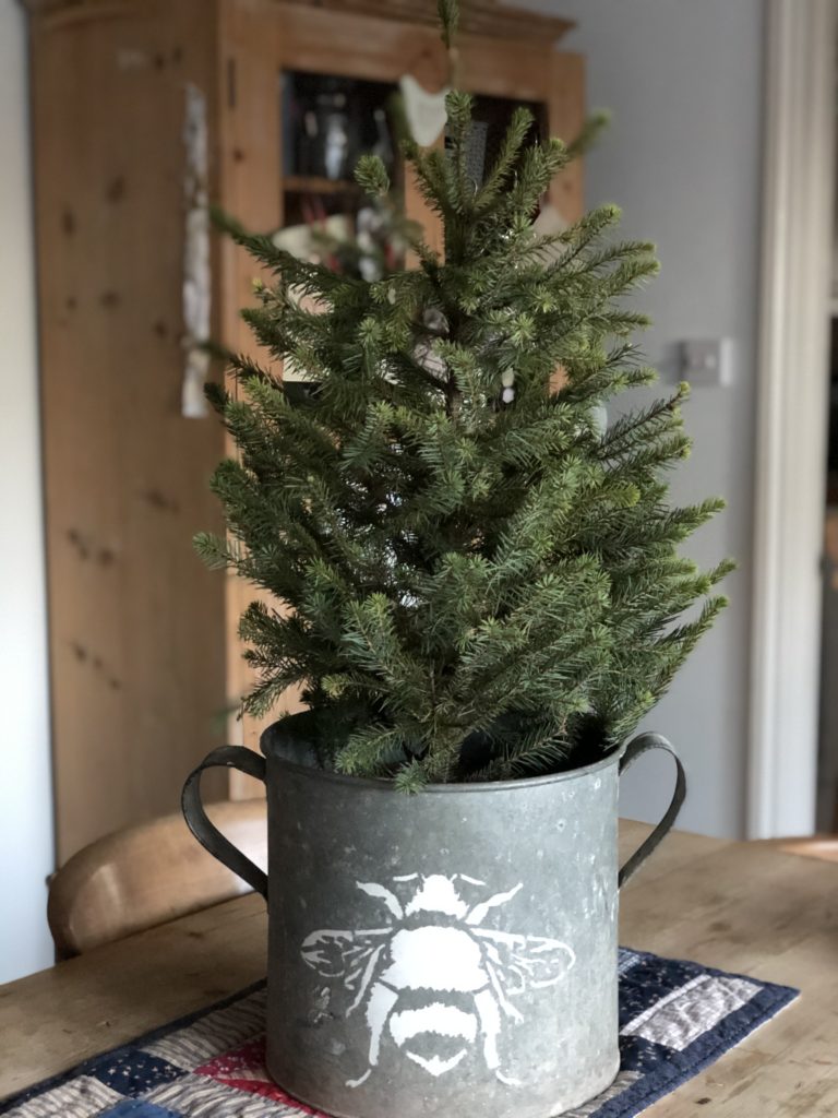 christmas tree in zinc pot