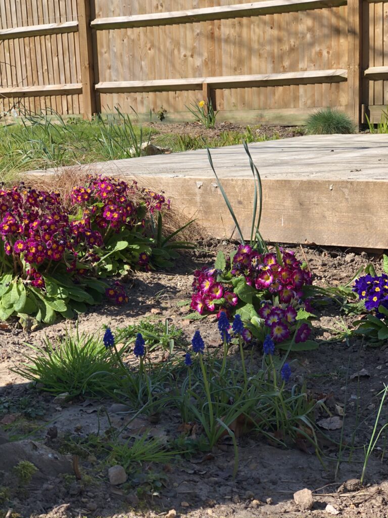 spring flowers around concrete base