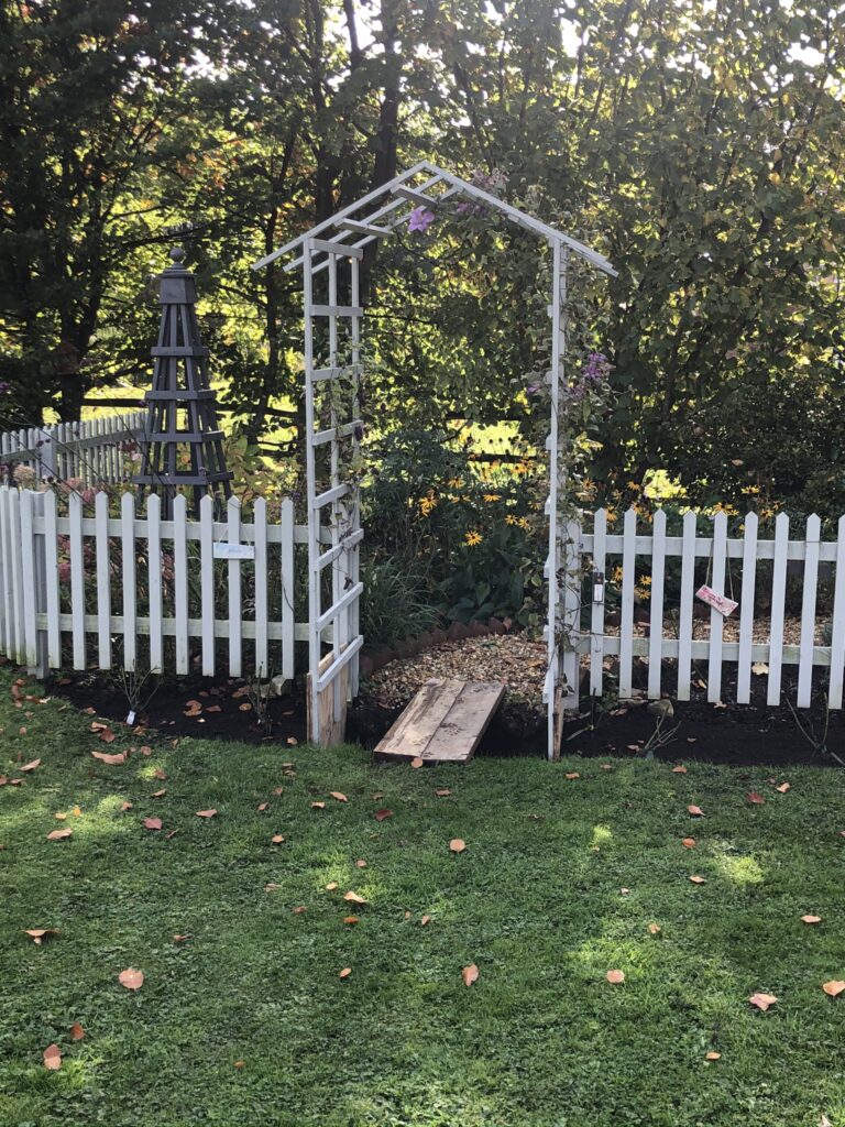 picket fence and arch in country garden