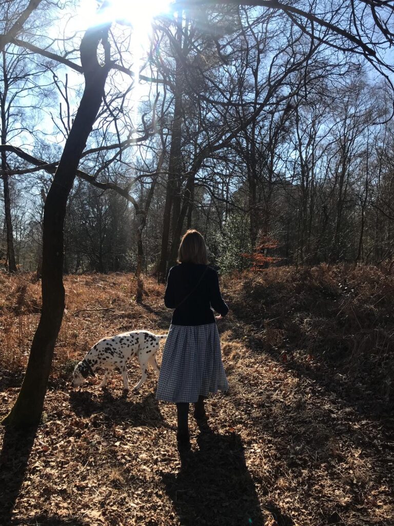 lady and dalmatian walking in woodland