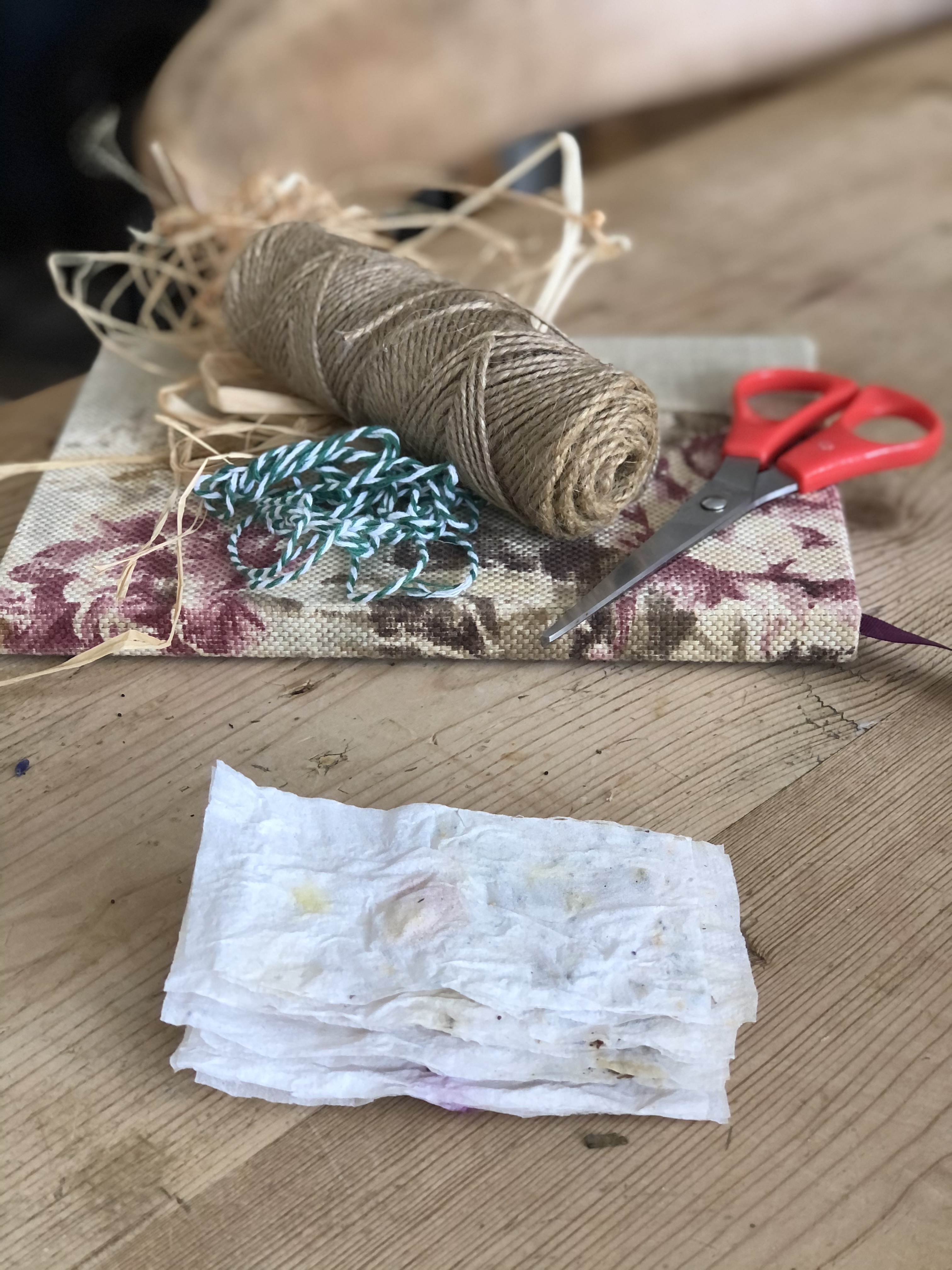 homemade seed paper