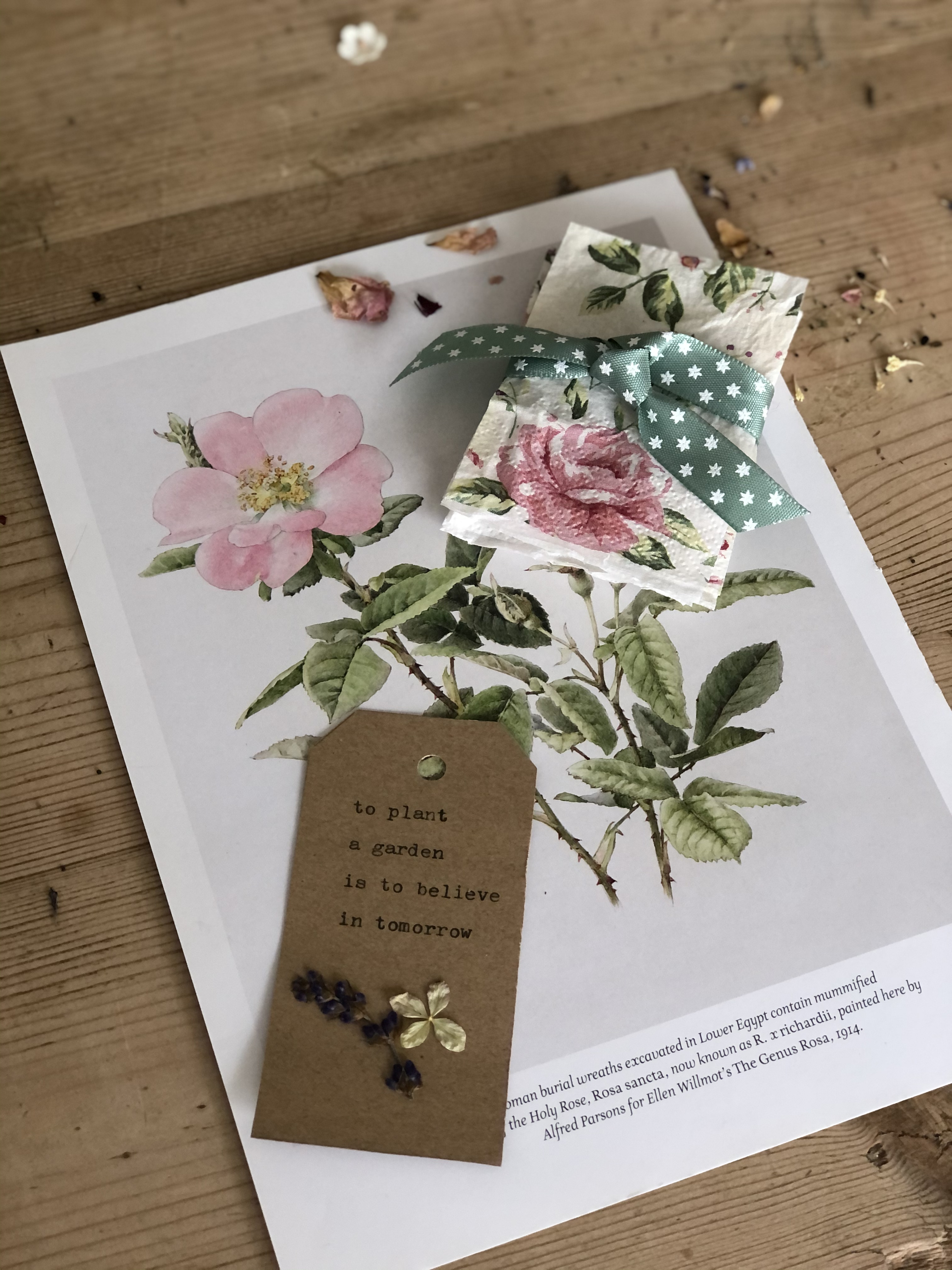 book plate, gift tag and homemade seed paper