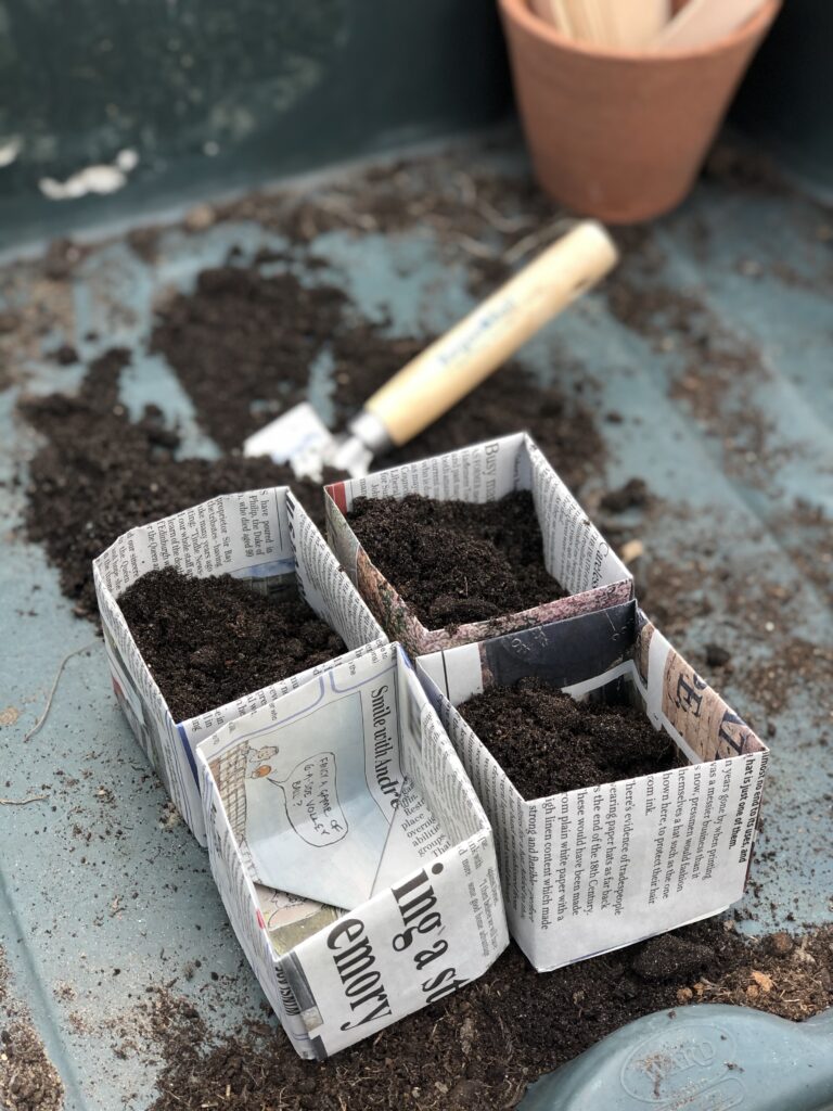 filling recycled paper seedling pots