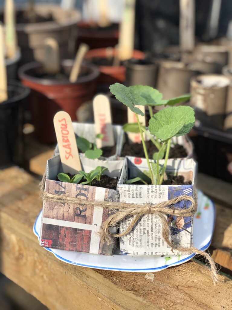 recycled paper seedling pots