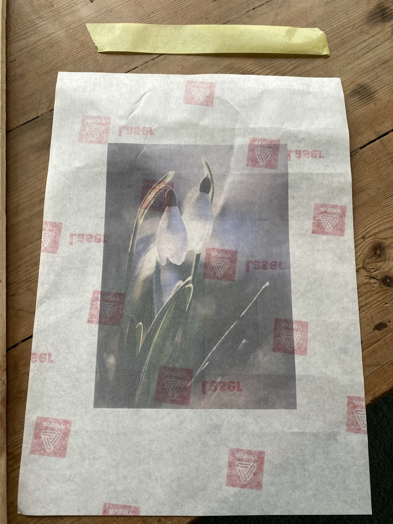 snowdrop graphic on waxy paper via inkjet printer