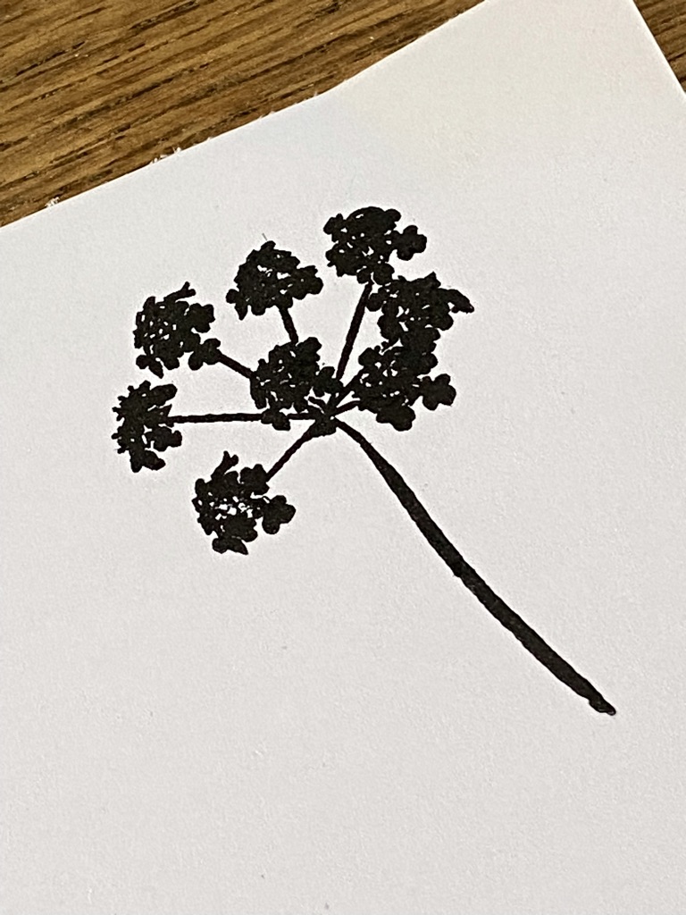 black cow parsley print made from rubber craft stamp